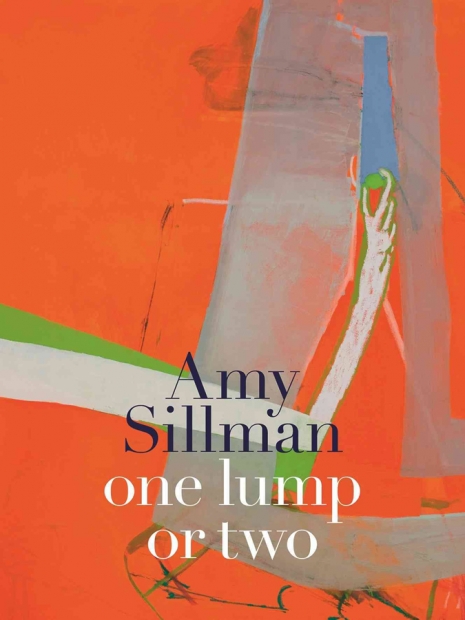 Cover of Amy Sillman catalogue with a detail of her painting. 