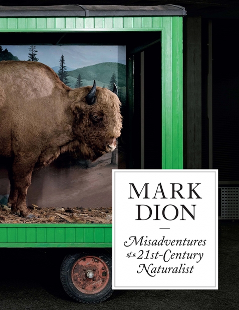 The cover of Mark Dion: Misadventures of a 21st-Century Naturalist with a stuffed buffalo on the cover. 