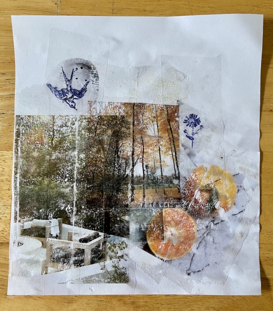 A collage comprising transfer images of a bird, trees, oranges, and more on clear tape over a white sheet of paper.
