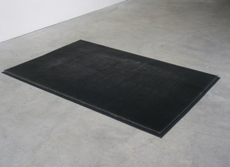 pin rug, mona hatoum