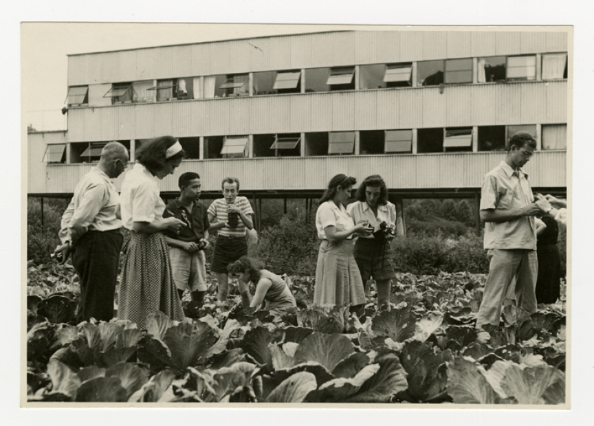 Photography class in cabbage patch, Photo by Barbara Morgan.