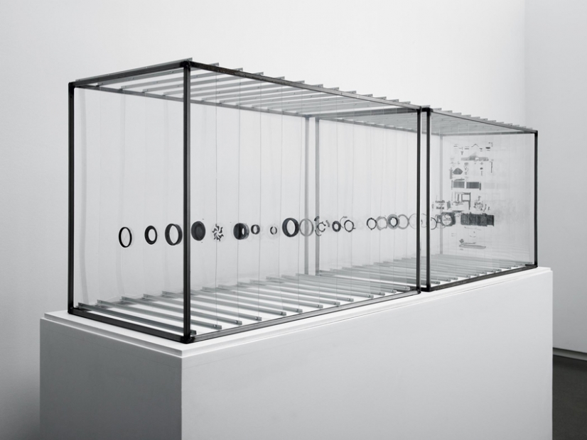 An installation comprised of two display cases containing the suspended components of a dissected 35mm Olympus camera.
