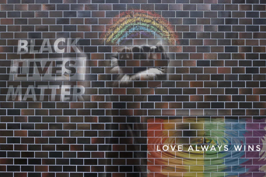A brick wall with a raised fist in the center, rainbow flag with the words "LOVE ALWAYS WINS," and BLACK LIVES MATTER also written.