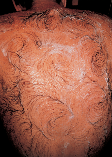 A color photograph shows a soapy back with black hair swirled to resemble the Impressionist style brushwork in Vincent Van Gogh's paintings.