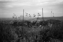 A grayscale photograph of the phrase "The Day-Sob-Dies" suspended between two thin poles in an overgrown field against the skyline of a city in the distance. 