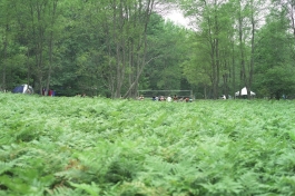 A color photograph of a rich, green landscape with low plants in the foreground and forest in the background along with a handful of people at a volleyball net, cars, and two tents.