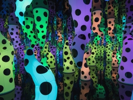 A photo shows a mirrored room filled with inflated glowing tentacles in different colors and colored with black dots of varying sizes. 