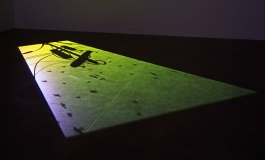A video still of a green skyline with the silhouettes of flying birds and a telephone line projected onto the floor.