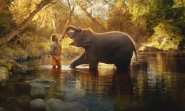 A person touching an elephant's trunk in the water