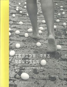 Inside the Visible catalogue cover, 1996