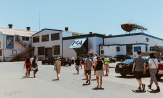 Groups of people walk towards the ICA Watershed