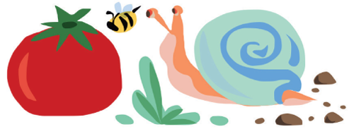 Colorful illustration of a tomato, bee, snail, grass, and specks of dirt. 