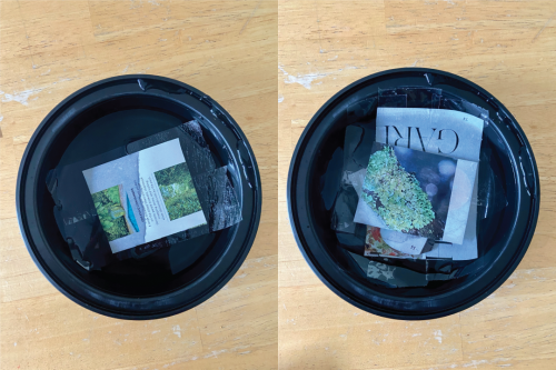 Newspaper and magazine cut-outs soaked in a bowl of water.
