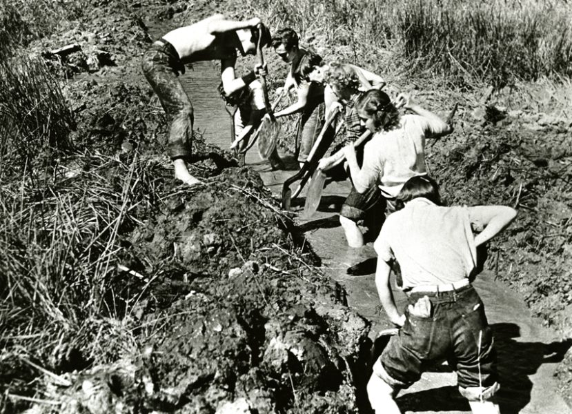Black Mountain College, Student Ditch Digging