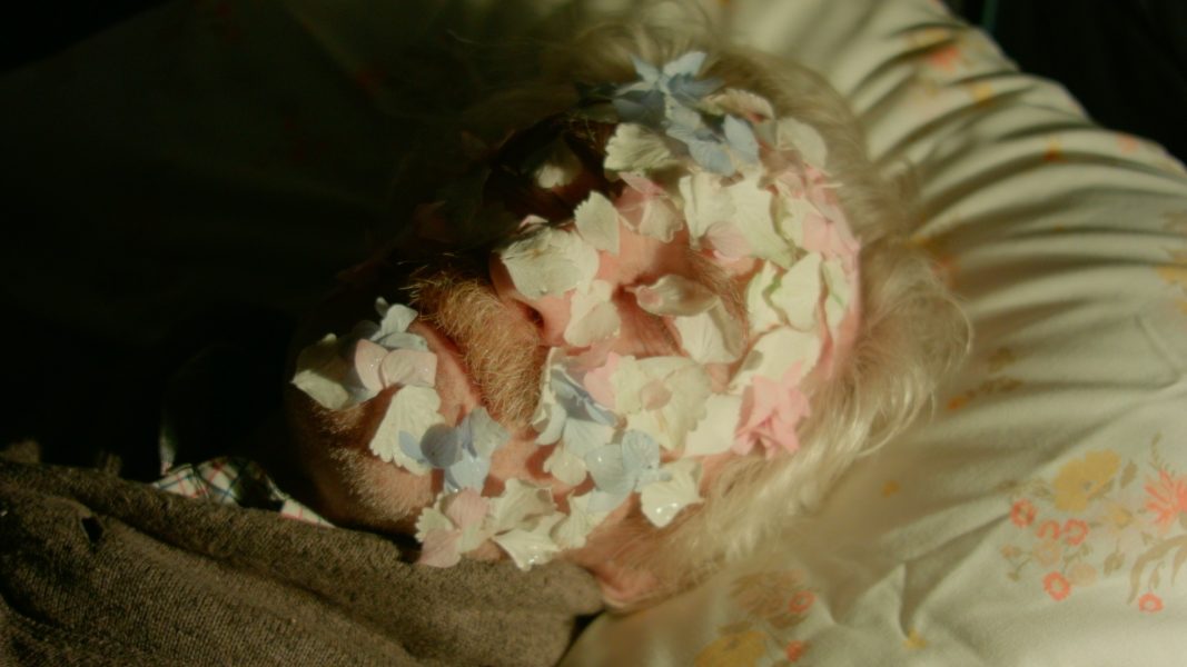 A film still of a person's face on a pillow covered in petals. 