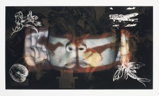 A color photograph shows a collage of a woman’s face with light projected on it and four white line drawings of an insect, flora, and airplanes in the four corners.