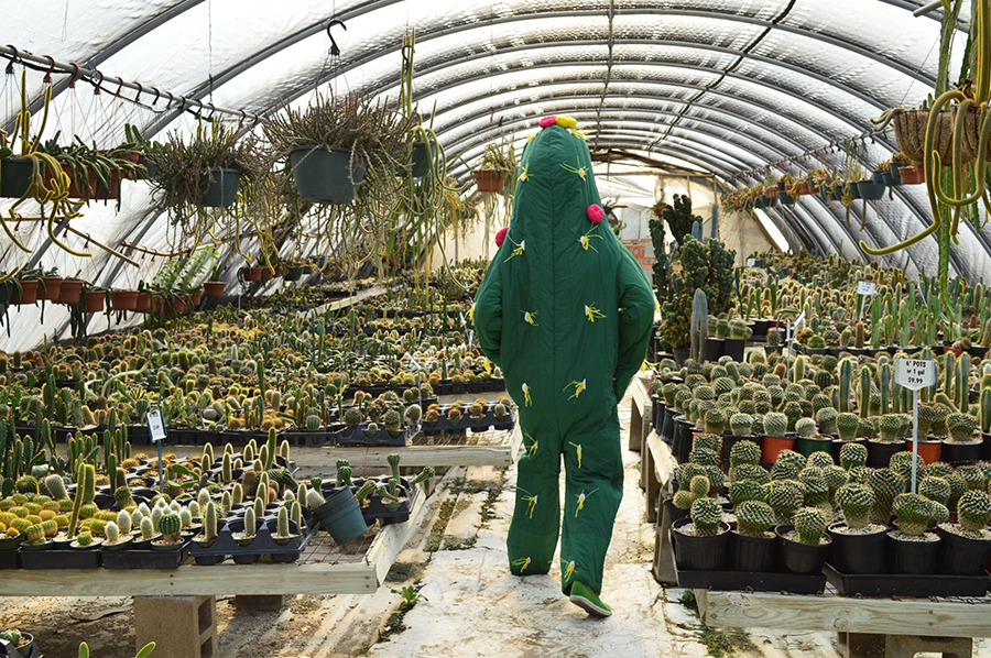 Artist Dance, dressed as a cactus, walks through a greenhouse.