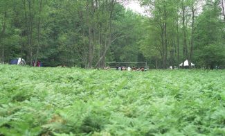 A color photograph of a rich, green landscape with low plants in the foreground and forest in the background along with a handful of people at a volleyball net, cars, and two tents.