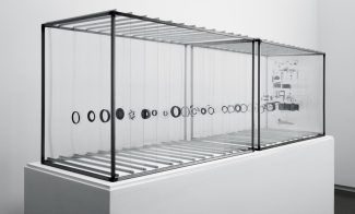 An installation comprised of two display cases containing the suspended components of a dissected 35mm Olympus camera.