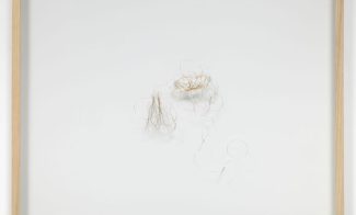 A sculpture of thin, wispy gold wire loosely shaped into two wedding ring shapes.