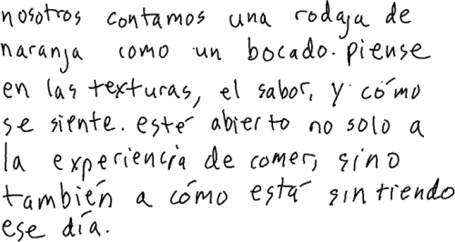 Handwritten script in Spanish that reads 