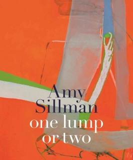 Cover of Amy Sillman catalogue with a detail of her painting. 