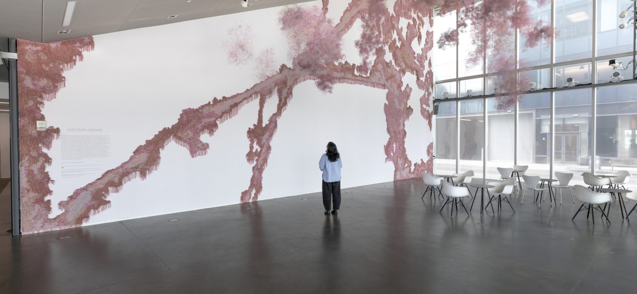 A person standing in an empty space looking at a pink wall installation with fluffy hanging components