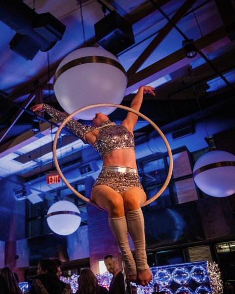 A performer in a sparkling silver outfit poses gracefully on a suspended hoop.