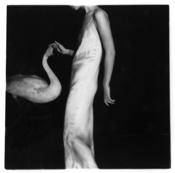 A person in a silky dress stands beside a swan, gently touching its head. The background is dark, creating a soft, dreamlike atmosphere.