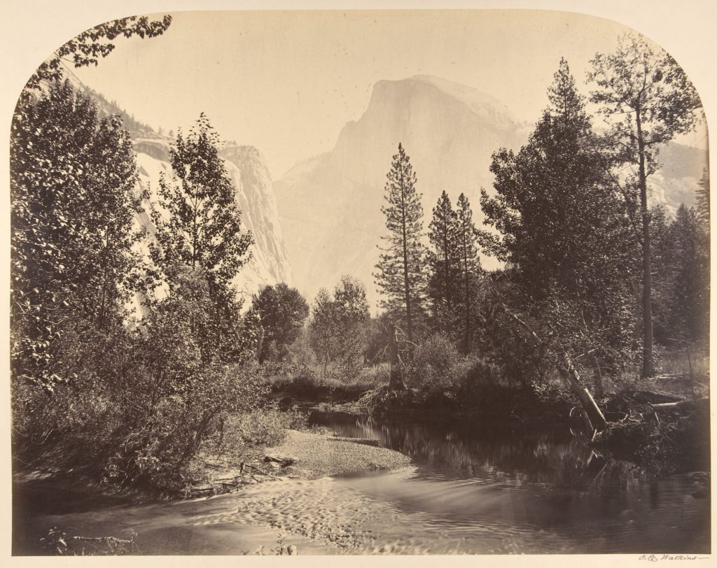 A river flows through a forest with tall pine trees. In the background, a large, rounded mountain rises above the mist. The scene appears calm and natural, likely in a scenic national park.
